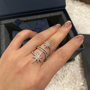 APM Meteorites Ring size 52